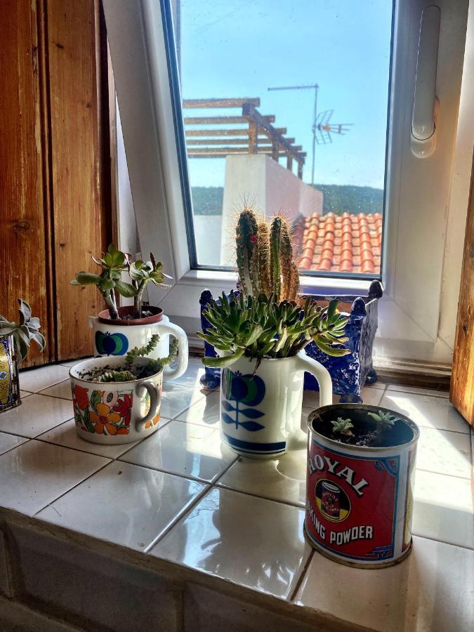 مبيت وإفطار Salir Casa Do Torreao المظهر الخارجي الصورة